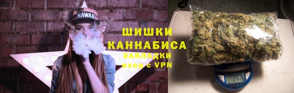 твердый Коряжма