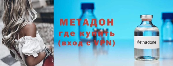 сатива Болотное