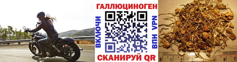 Галлюциногенные грибы мицелий Курганинск